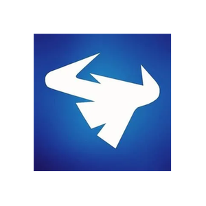 Bison Security brand logo for bisonsecurity.co.uk
