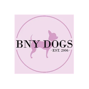 Bitch New York brand logo for bitchnewyork.com