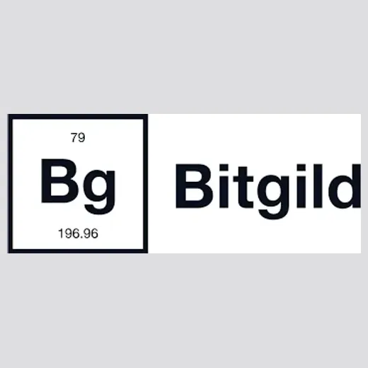 Bitgild brand logo for bitgild.com