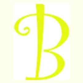 Bitheap brand logo for bitheap.tech