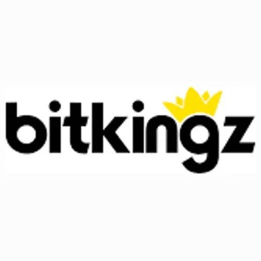 BitKingz brand logo for bitkingz.com