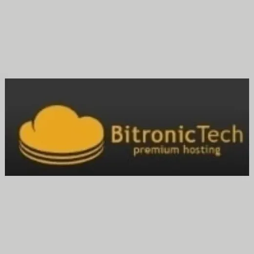 Bitronic brand logo for bitronictech.net
