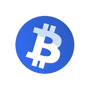 Bitvps brand logo for bitvps.com