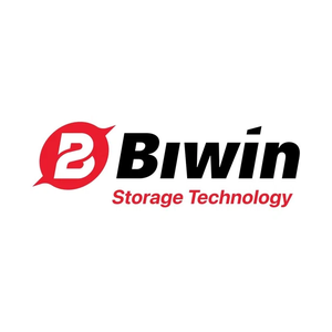 BIWIN brand logo for biwintechnology.com