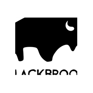 Black Brook brand logo for blackbrookcase.com