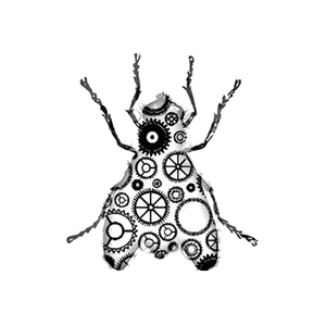 Black Fly brand logo for blackflysolutions.ca
