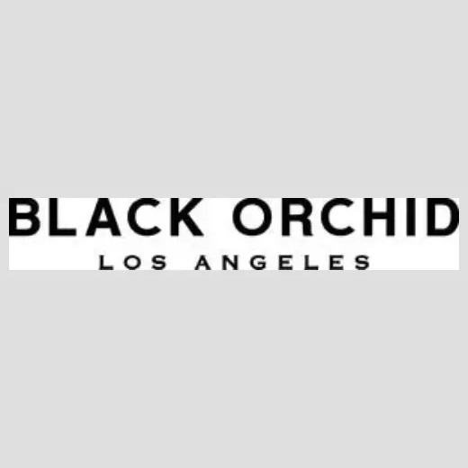 Black Orchid Denim brand logo for blackorchiddenim.com