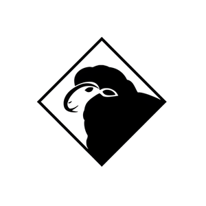 Black Sheep Salon brand logo for blacksheepsalonfl.com