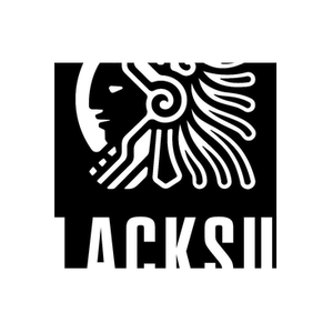 Black Sun Miniatures brand logo for blacksunminiatures.co.uk