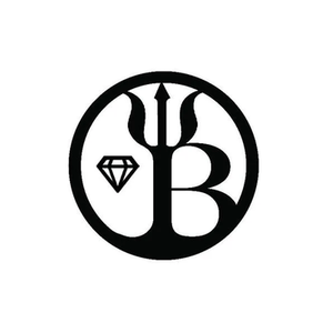 Black Tree Lab brand logo for blacktreelab.co