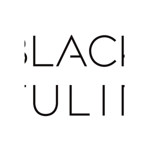 Black Tulip Studio brand logo for blacktulipstudio.com