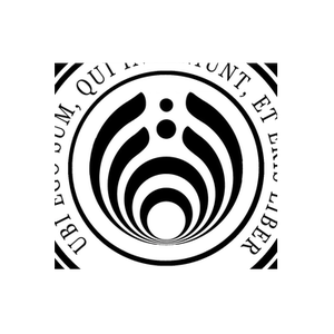 Black University brand logo for blackuniversity.org