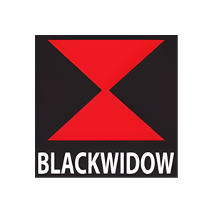 Black Widow Exhausts brand logo for blackwidowexhausts.co.uk