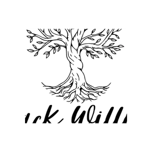 Black Willow Boutique brand logo for blackwillowboutique.com
