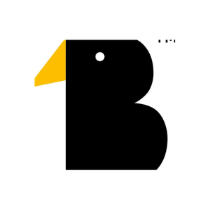 Blackbird Kids brand logo for blackbirdkidsclothing.co.uk