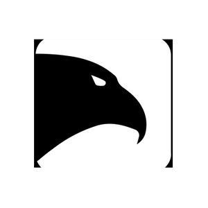 Blackhawk brand logo for blackhawk.io