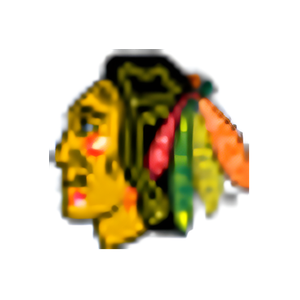 Blackhawks Fan Store brand logo for blackhawksfanstoreonline.com