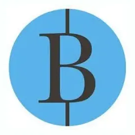 Blackline Renovations brand logo for blacklinerenovations.com