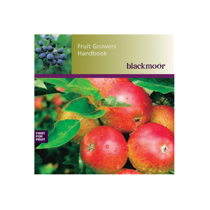 Blackmoor brand logo for blackmoor.co.uk