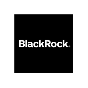 BlackRock brand logo for blackrock.com