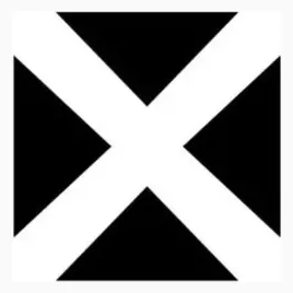 blankforces.com/store/ brand logo for blankforces.com