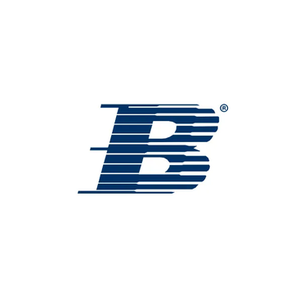 Blauparts brand logo for blauparts.com