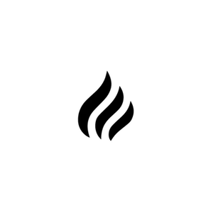 Blaze Wellness brand logo for blazewellness.co