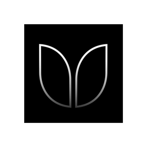 Blazer Pro brand logo for blazerproscooters.com