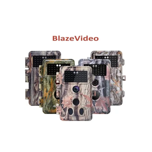 BlazeVideo brand logo for blazevideo.net