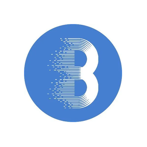 Bleemeo brand logo for bleemeo.com