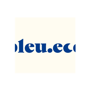 Bleu brand logo for bleu.eco
