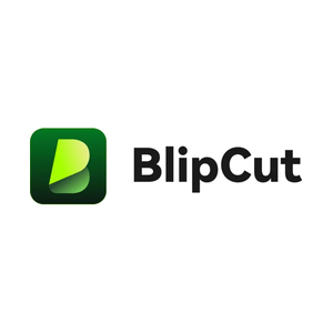 blipcut.com/text-to-video.html brand logo for blipcut.com