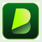 Blipcut brand logo for videotranslator.blipcut.com