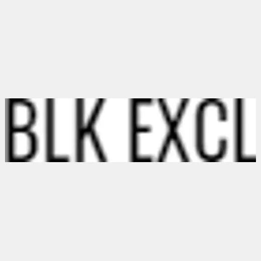 BLK EXCL brand logo for blkexcl.com
