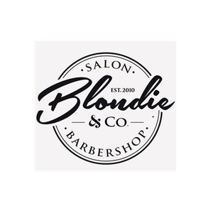 Blondie and Co brand logo for blondieandcosalon.com