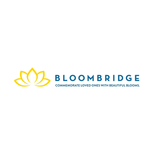 bloom-bridge brand logo for bloom-bridge.com