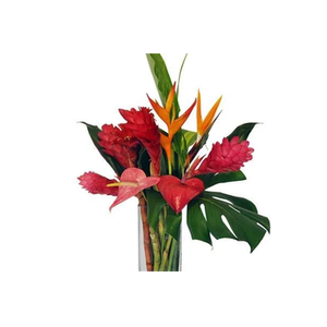 Blooms of Hawaii brand logo for bloomsofhawaii.com