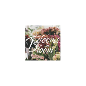 bloomsinbloom brand logo for bloomsinbloom.com