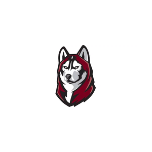 Bloomu brand logo for bloomustore.com