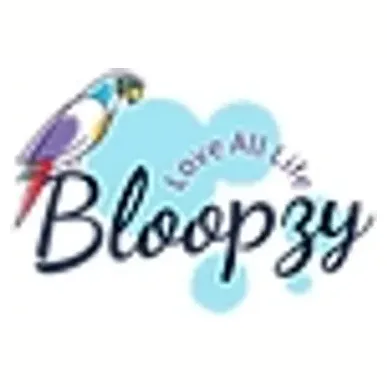 Bloopzy brand logo for bloopzy.net