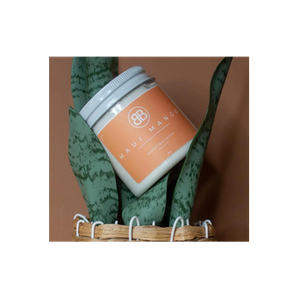 Blossom Body brand logo for blossombodycollection.com