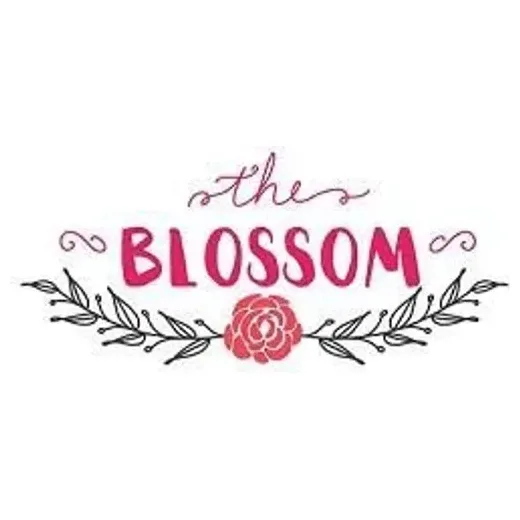 Blossom Flower Delivery brand logo for blossomflowerdelivery.com