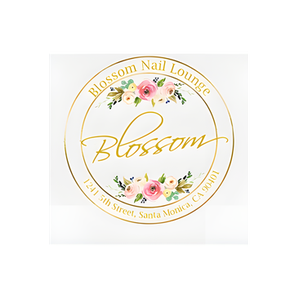 Blossom Nail Lounge brand logo for blossomnaillounge.com