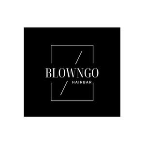 Blown Go brand logo for blowngohairbar.com