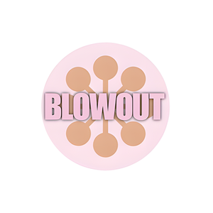 Blowout Beauty Bar brand logo for blowoutbeautybar.com