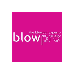 Blowpro brand logo for blowpro.com