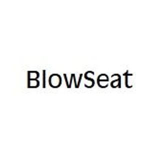 blowseat brand logo for blowseat.com