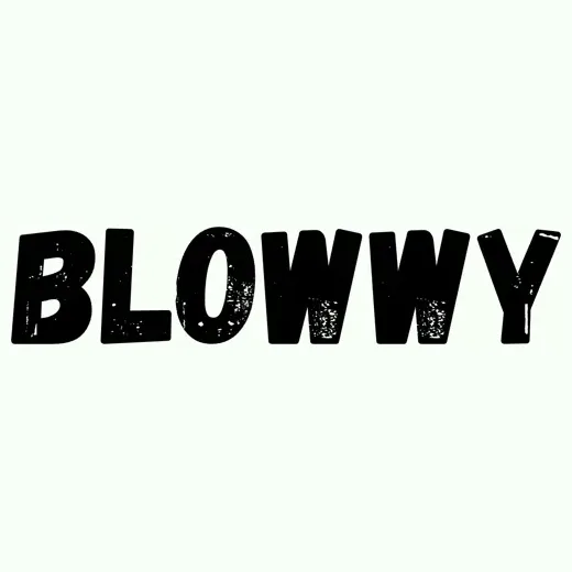 Blowwy brand logo for blowwy.com