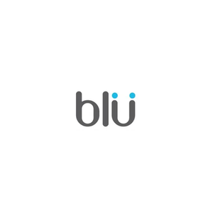 Blu Toothbrush brand logo for blutoothbrush.com