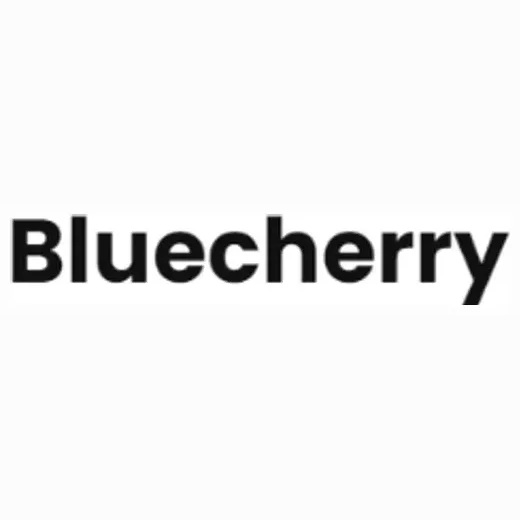 Blue Cherry brand logo for bluecherrydvr.com